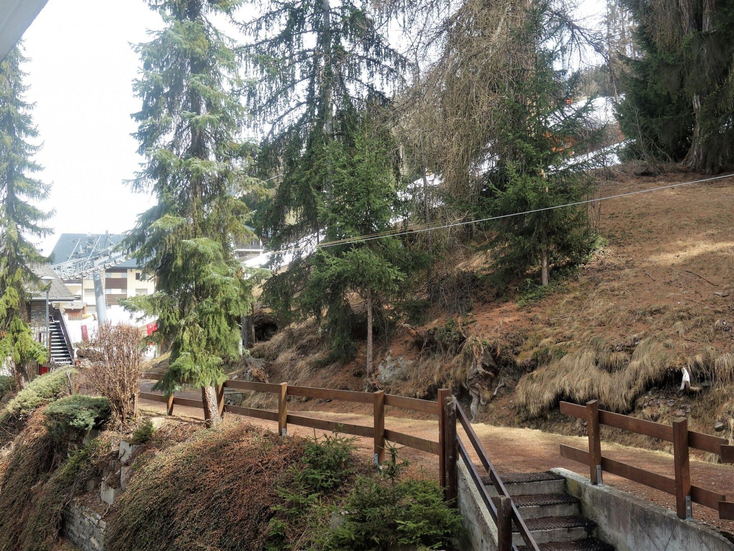A hillside with a wooden fence, a staircase, and dense trees.