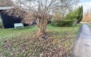 A tree in a yard with a shed and a bench in the background. - 8 Person Holiday Home in Asnaes (Asnaes)