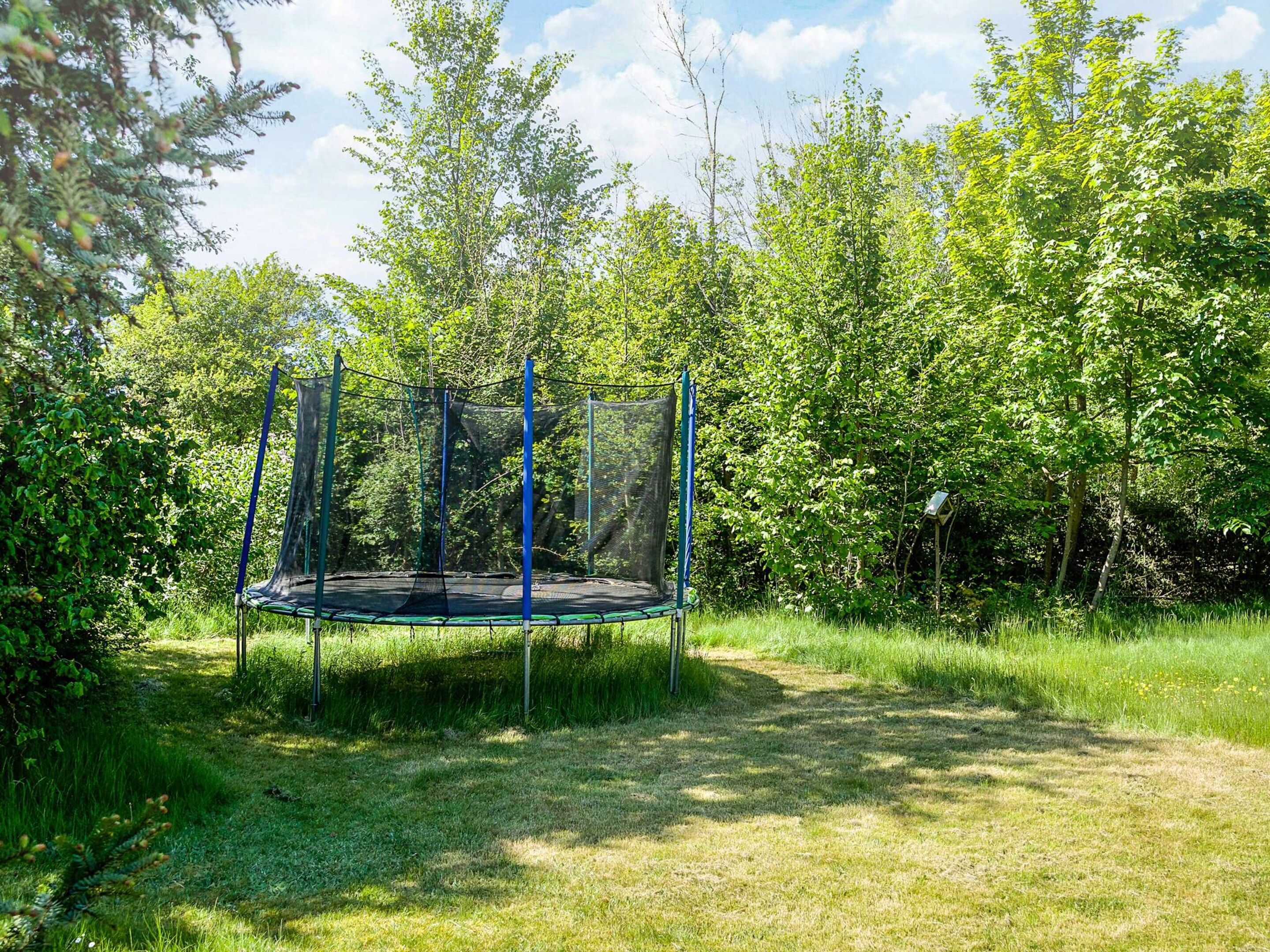 A trampoline in a grassy area surrounded by trees.