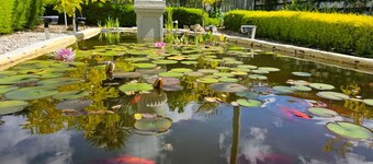 Blossom Cottage - Cosy Retreat