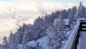 A snowy mountain landscape with dense forests and a cabin. - Apartment With Mountain Views (Sion)