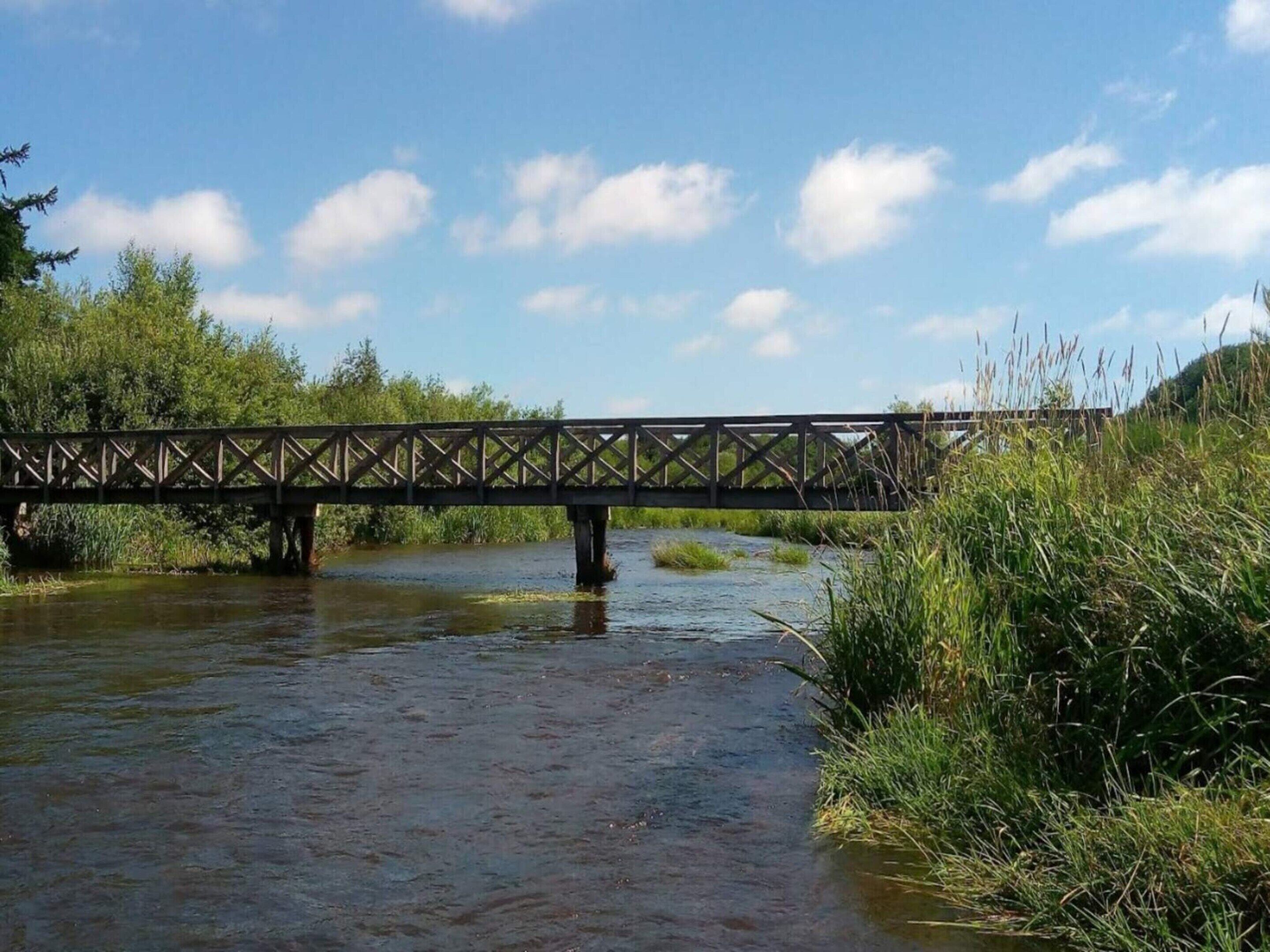 Un ponte di legno che scavalca un fiume, con sponde erbose e alberi sullo sfondo.