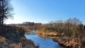 A river flowing through a natural landscape with trees and shrubs on both sides. - 6 Person Holiday Home in Ansager (Ansager)