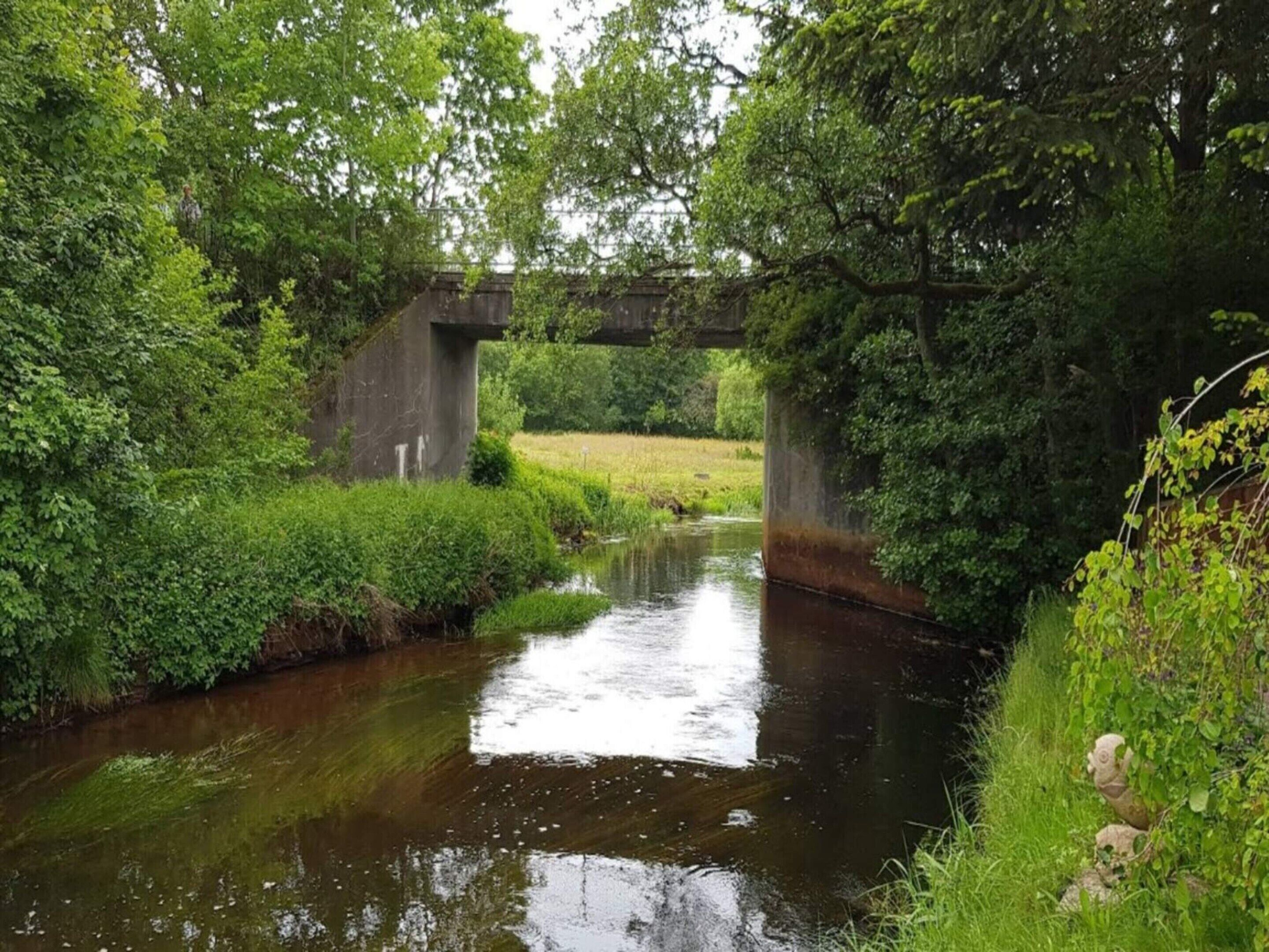 Utsikt mot vann