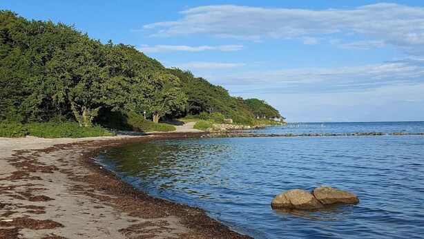 Una playa con arena, un promontorio rocoso y una colina boscosa.