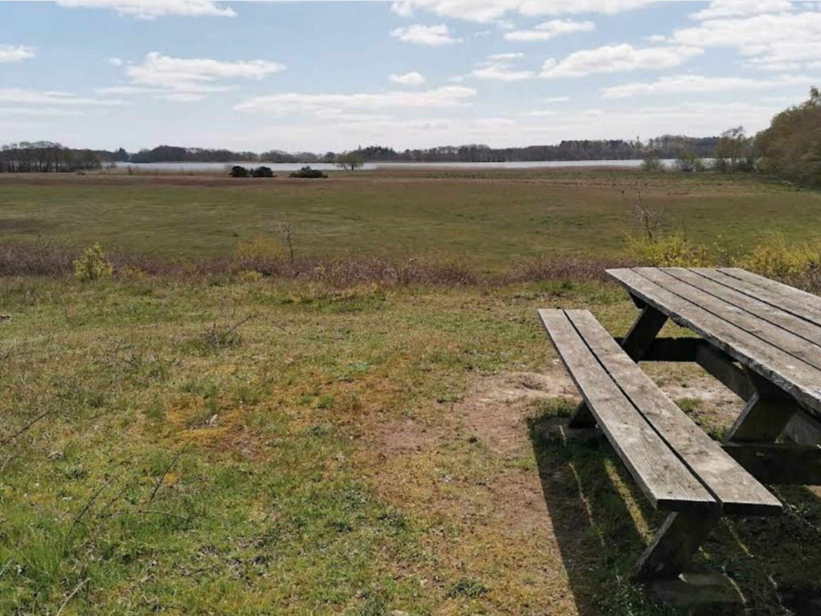 A picnic table in a grassy field with a lake and trees in the background.