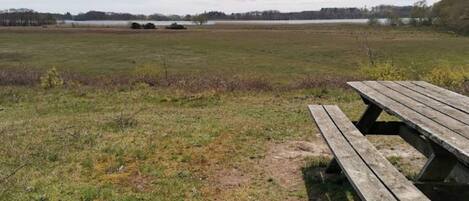 House | Outdoor dining