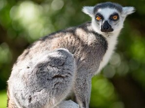 House | Miscellaneous