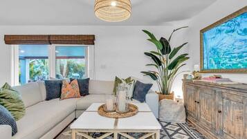 Smart TV, fireplace, books, printers