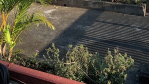 A rooftop garden with potted plants and a view of snow-capped mountains in the background. - New Pokhara Lodge, Lakeside (Pokhara)