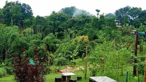 A lush garden with a stone pathway leading to a seating area with a table and chairs. - GJ TOUR
Cozy homestay in beautiful Pangmapha, Tham Lot with AC. (Pang mapha,)