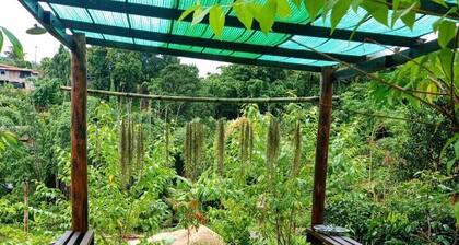 GJ TOUR
Cozy homestay in beautiful Pangmapha, Tham Lot with AC.