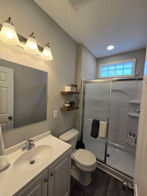 Hair dryer, towels, soap, toilet paper