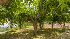 Property grounds - Sensacions - Villa With Private Pool In Llutxent (Llutxent)