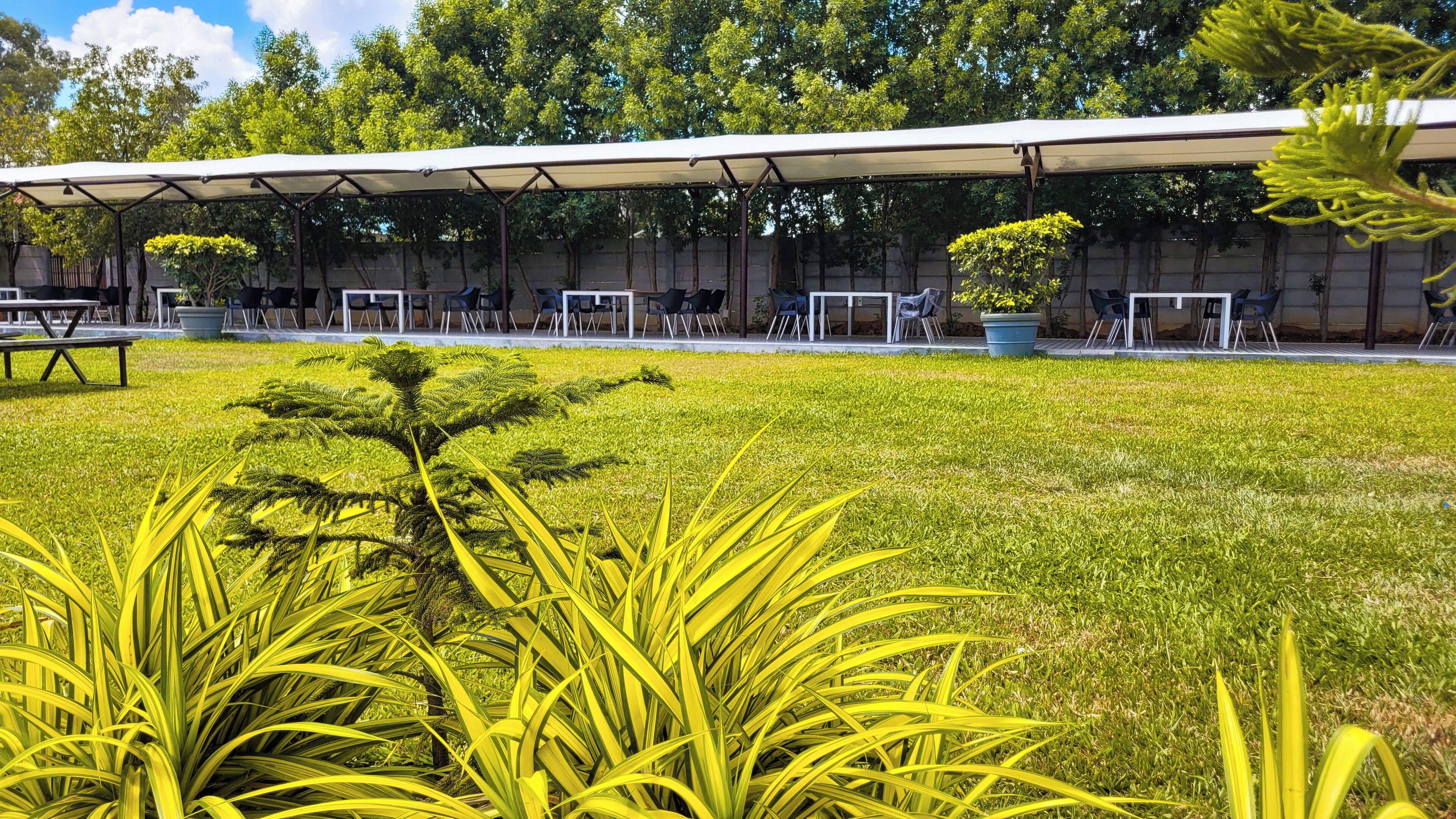 Un espacio al aire libre techado con mesas y sillas, rodeado de césped y plantas.