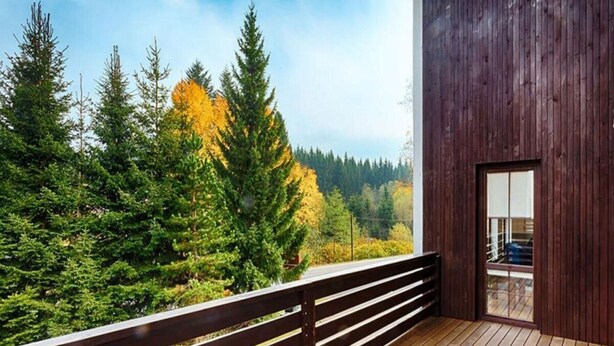 Un pontile in legno con ringhiera che si affaccia su una zona boschiva con alberi dai colori autunnali.