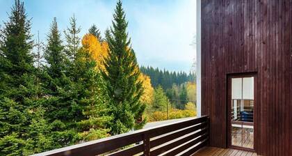 Comfortable Apartment With Living Room