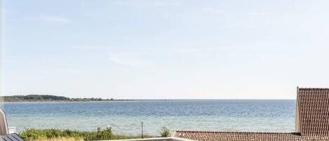 House | Property grounds