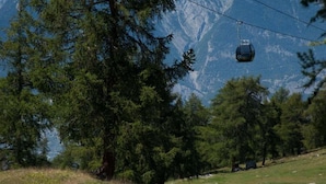 A cable car moving over a mountainous landscape with dense trees and a clear sky. - Charming Apartment With Valley View (Veysonnaz)