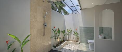 Une salle de bain moderne équipée d’une douche, de toilettes et d’un lavabo, avec une lucarne et des plantes en pot.
