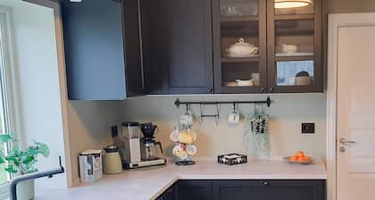 4 Person Holiday Home in Borhaug