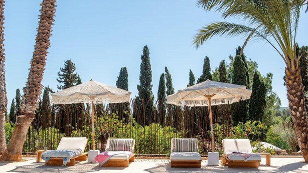 A poolside area with lounge chairs and umbrellas, surrounded by palm trees and tall cypress trees. - Impressive Farmhouse With Pool (Santa Eulalia del Rio)