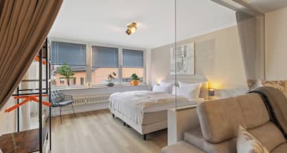 Primero Relax-Home I 92sm Parking Balcony Elevator 7P. I A8 - Fuggerei