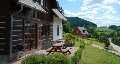Beautiful Wellness Villa Near the Giant Mountains