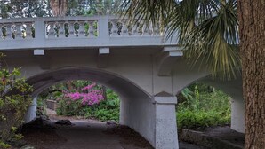 A stone bridge with an arch, surrounded by greenery and a palm tree.