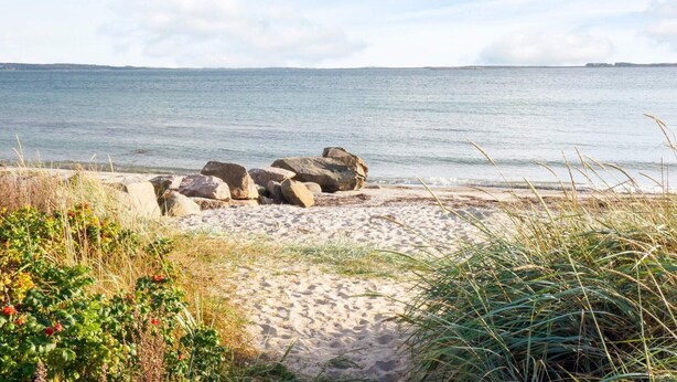 A beach with sand, rocks, and vegetation. - 4 Person Holiday Home in Askloster (Åskloster)