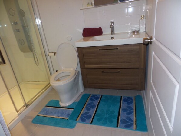 Shower, hair dryer, bidet, towels
