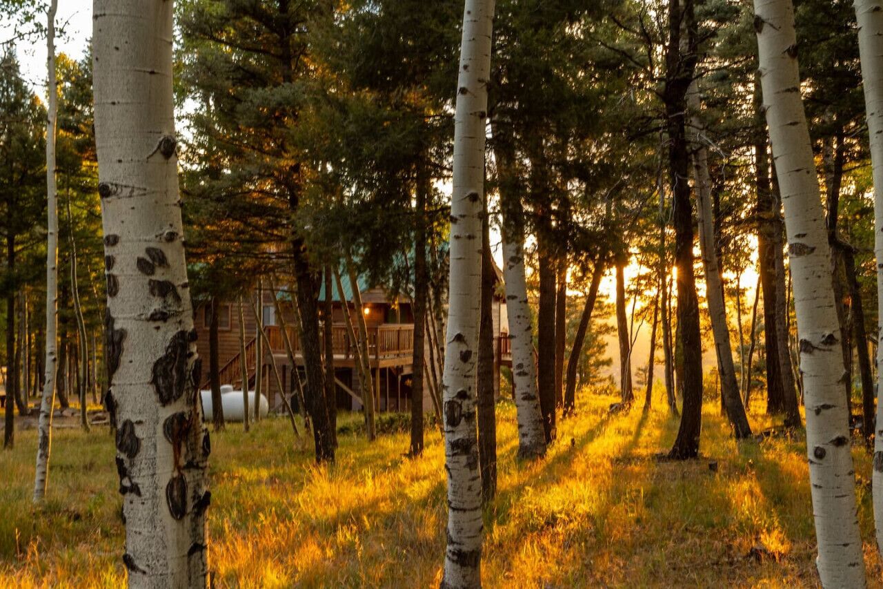 Overnatningsstedets område