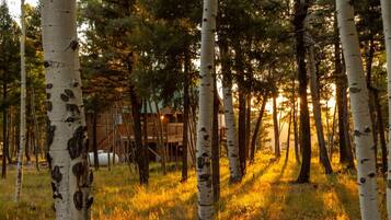 Overnatningsstedets område