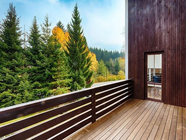 House | View from property - Comfortable Villa With Amenities (Harrachov)
