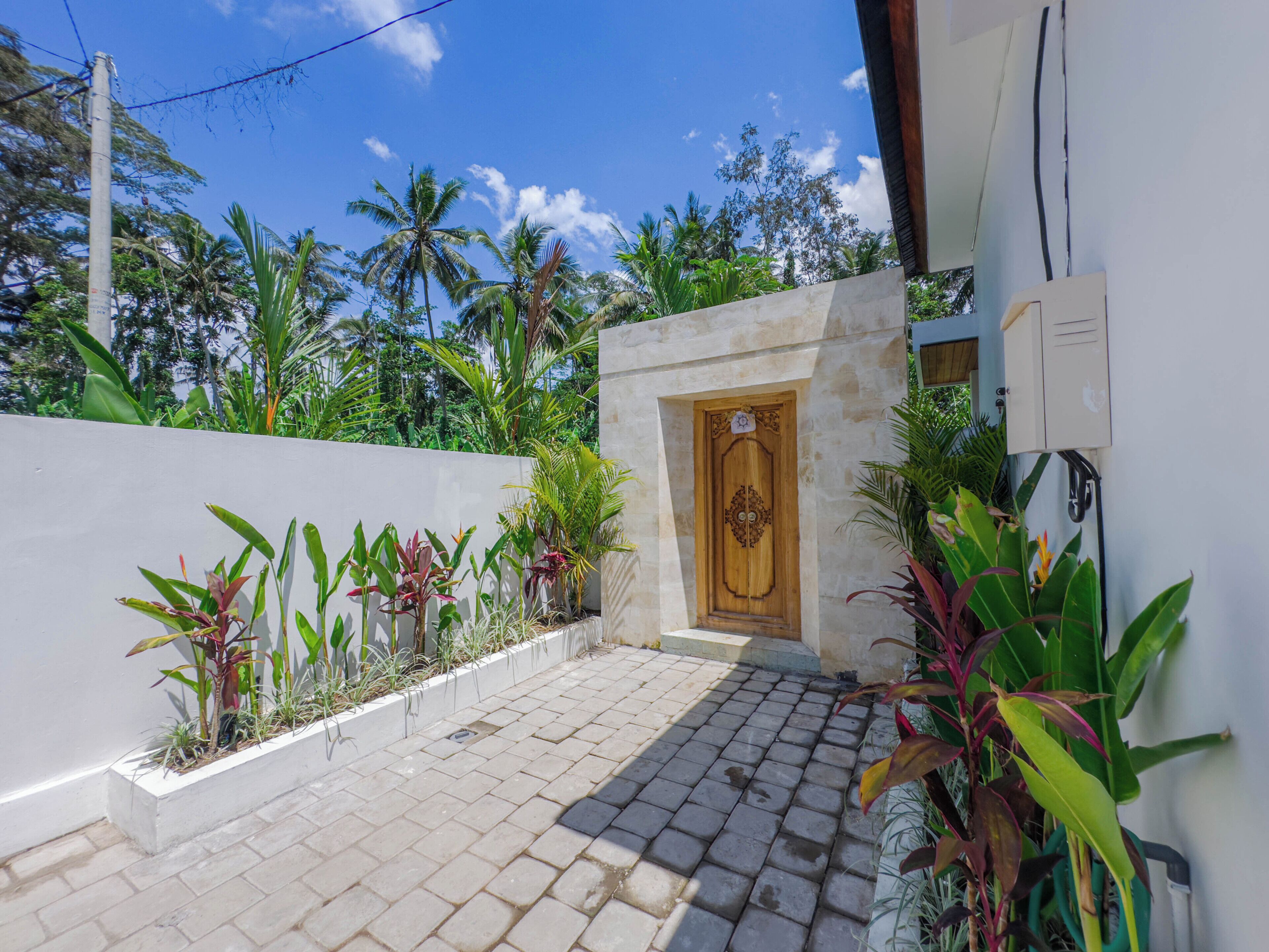 A paved courtyard with a wooden door, surrounded by lush tropical plants and a white wall.