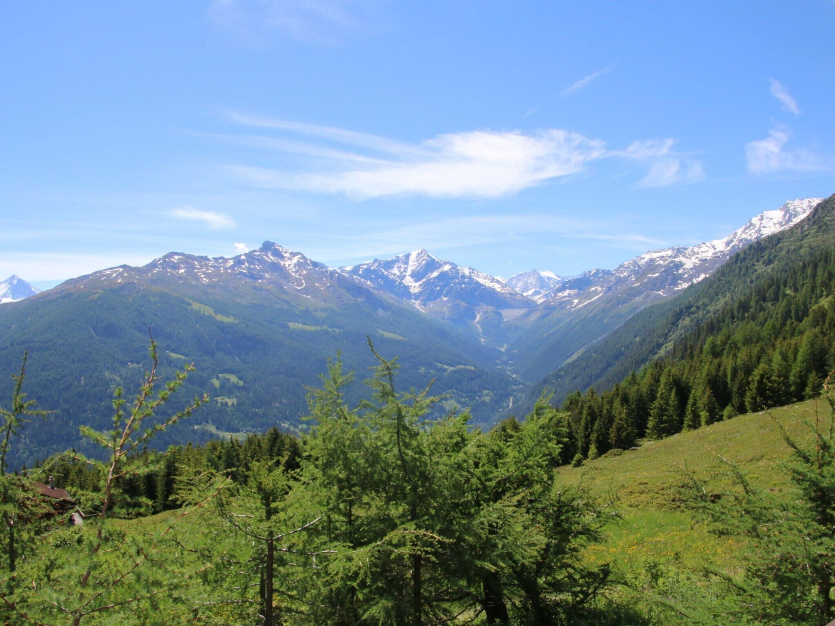 Paisagem montanhosa com vale, floresta densa e picos cobertos de neve sob um céu claro.