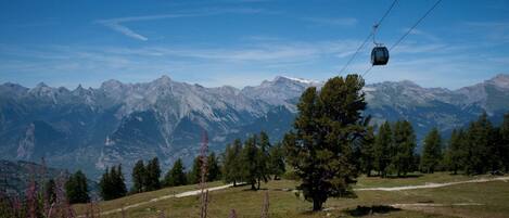 Apartment | Miscellaneous