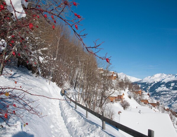 A snow-covered mountain slope with a wooden fence, bare trees, and a clear blue sky.