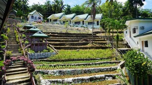 Un jardin en terrasses, avec des marches menant à une rangée de maisons dotées de toits végétalisés.