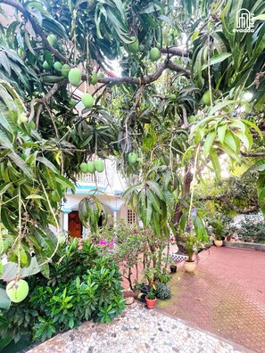 A garden with various plants and a building in the background. - Aamra ghar by evaddo stays (Mandrem)