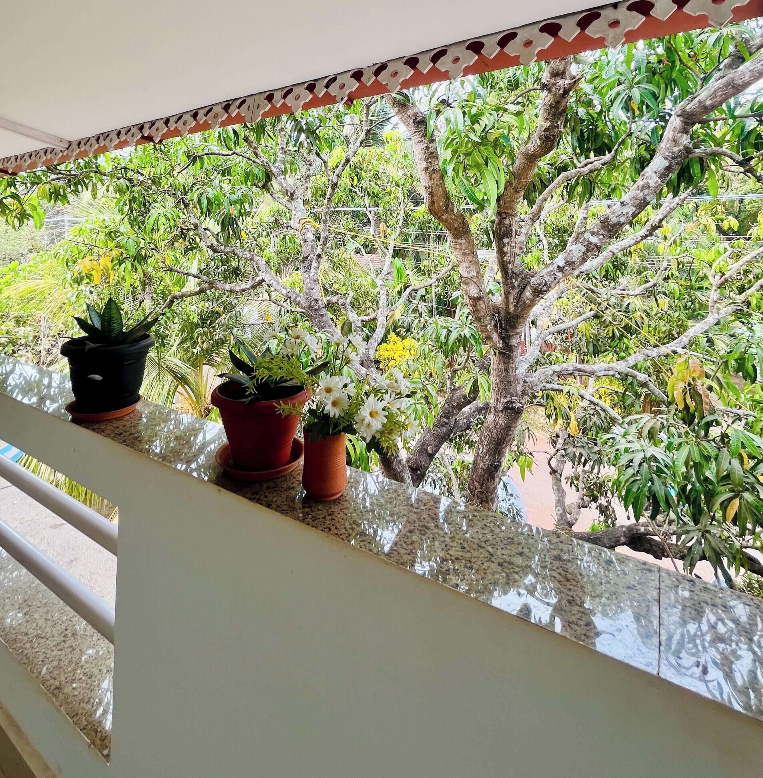 Deluxe Apartment, Balcony | Balcony