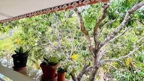 Deluxe Διαμέρισμα, Μπαλκόνι | Μπαλκόνι