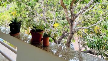 Deluxe Apartment, Balcony | Balcony