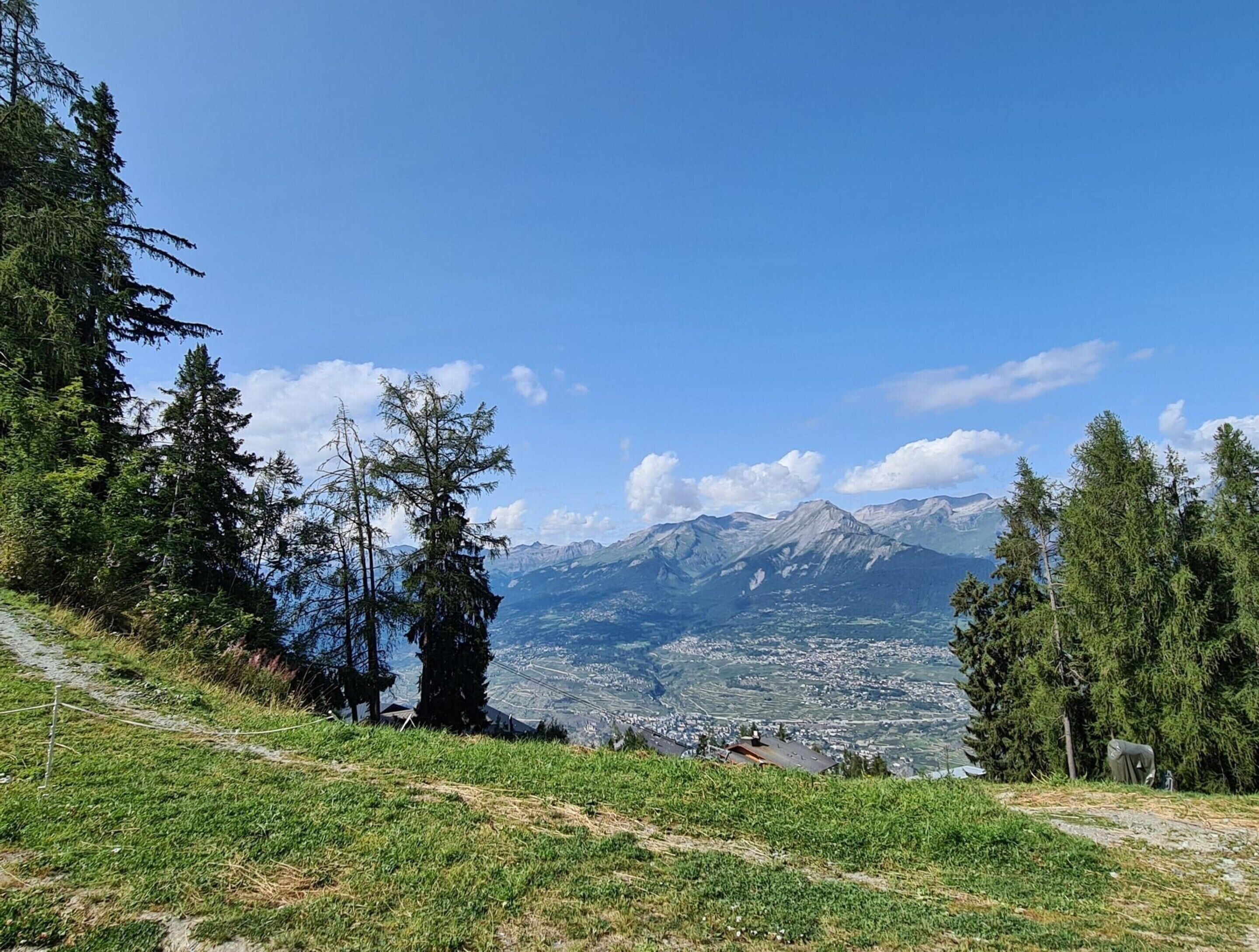 Un paysage de montagne avec un ciel dégagé, un sentier herbeux et des arbres.