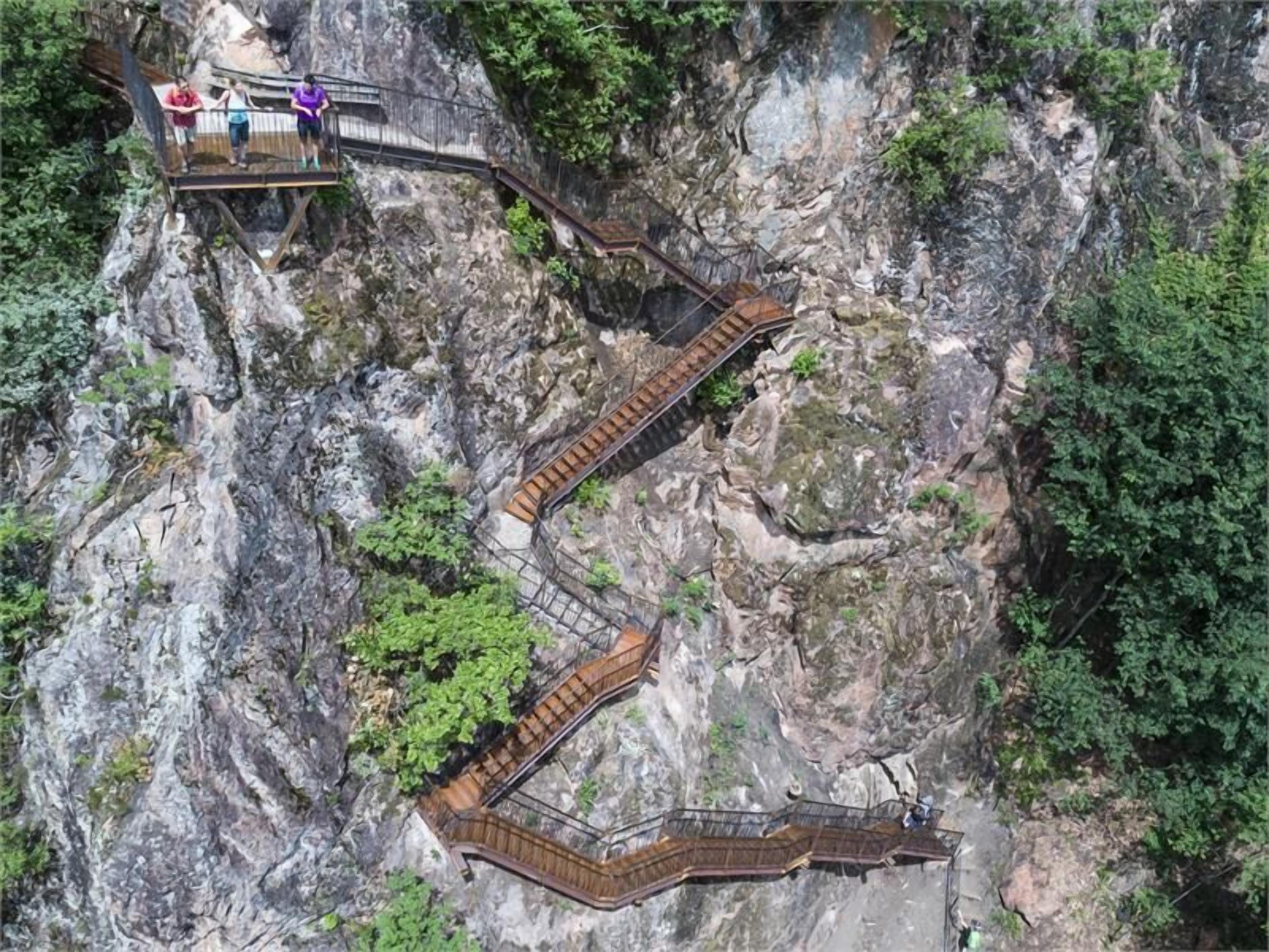 Un escalier en bois menant au sommet d’une falaise rocheuse, entouré de verdure.