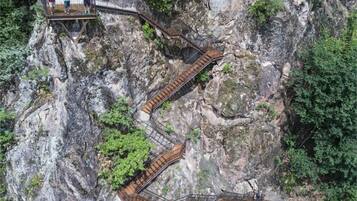 Un escalier en bois menant au sommet d’une falaise rocheuse, entouré de verdure.