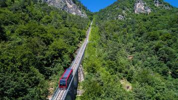 Un train rouge traverse un pont au-dessus d’une vallée boisée.