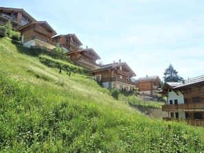 A hillside with wooden chalets, each with balconies and a rustic appearance. - Pleasant Apartment With View (Veysonnaz)