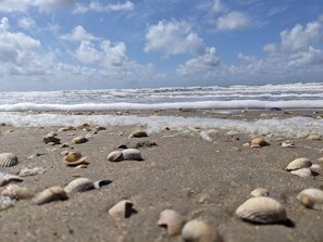 Una playa con caracolas dispersas y olas.