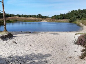 A sandy beach area with a calm body of water, surrounded by trees and vegetation.